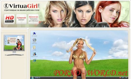 Виртуальные девушки (2009, ПК)